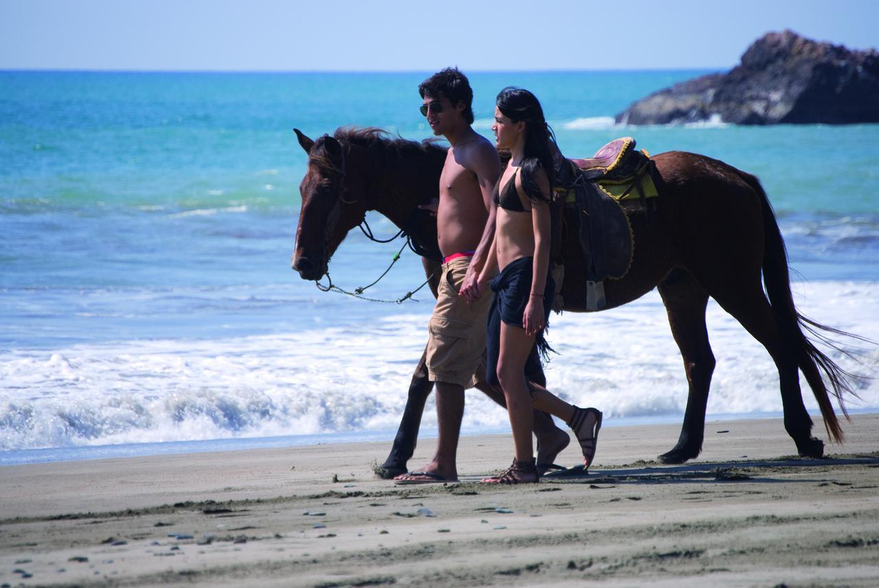 Hotel & Villas Partourcaleta Caleta de Campos 外观 照片